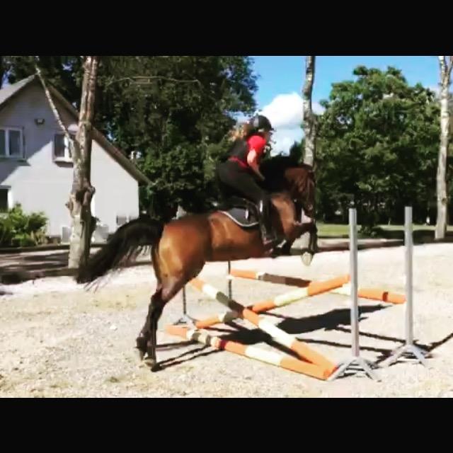 DSP Chanel billede 11