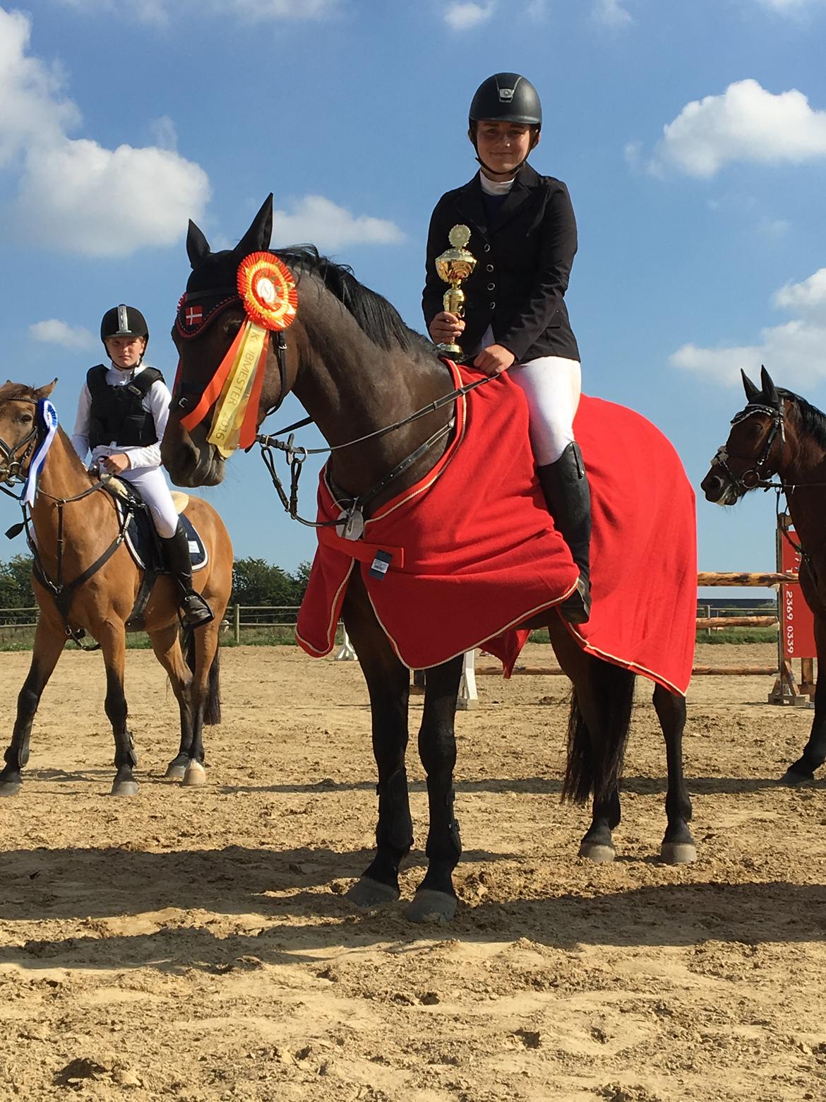 DSP Chanel billede 13