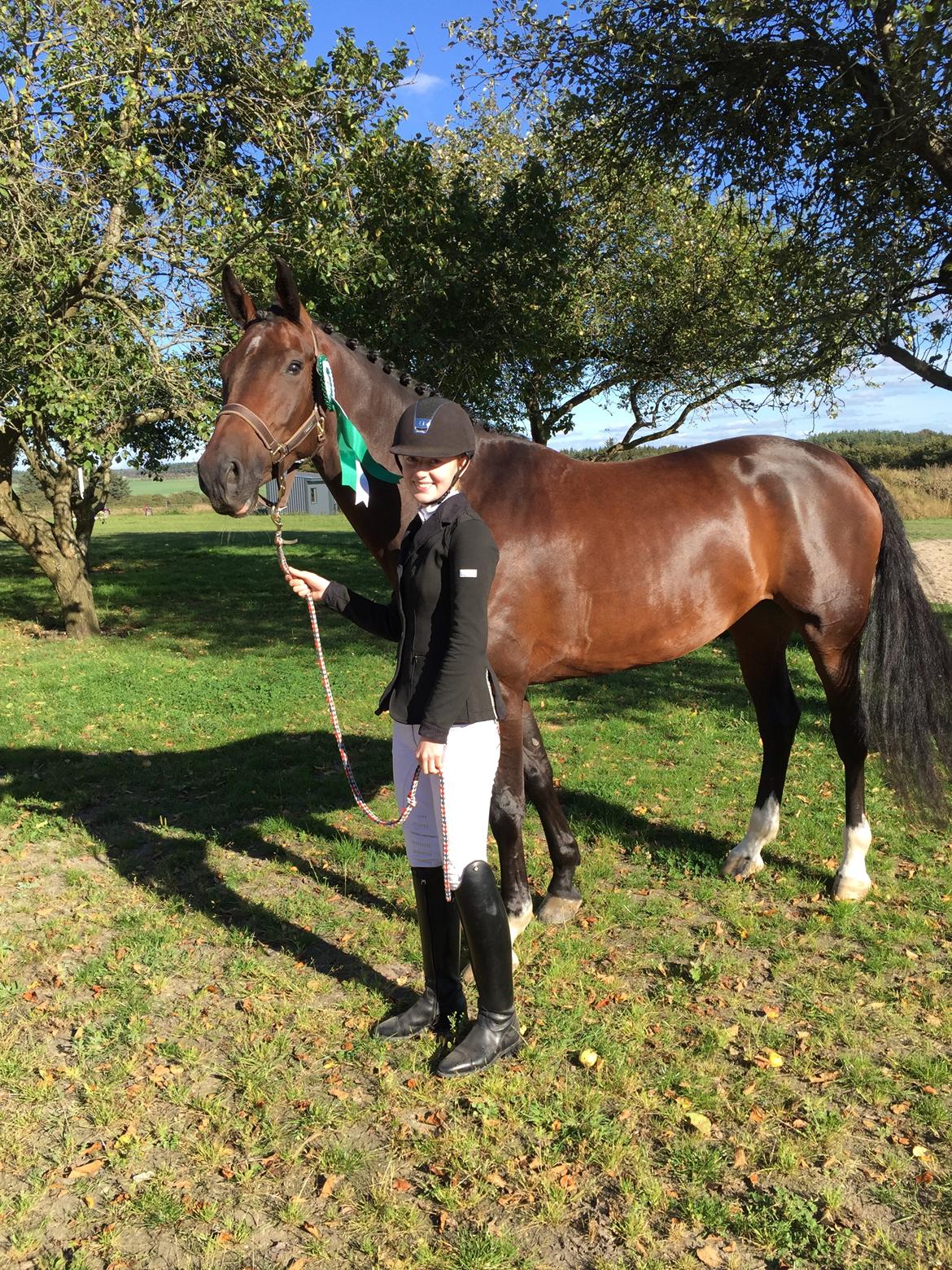 Dansk Varmblod Calibra-agg - 3. plads i en LA billede 8