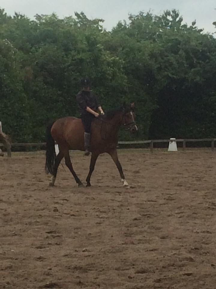 Anden særlig race Sabrina billede 1