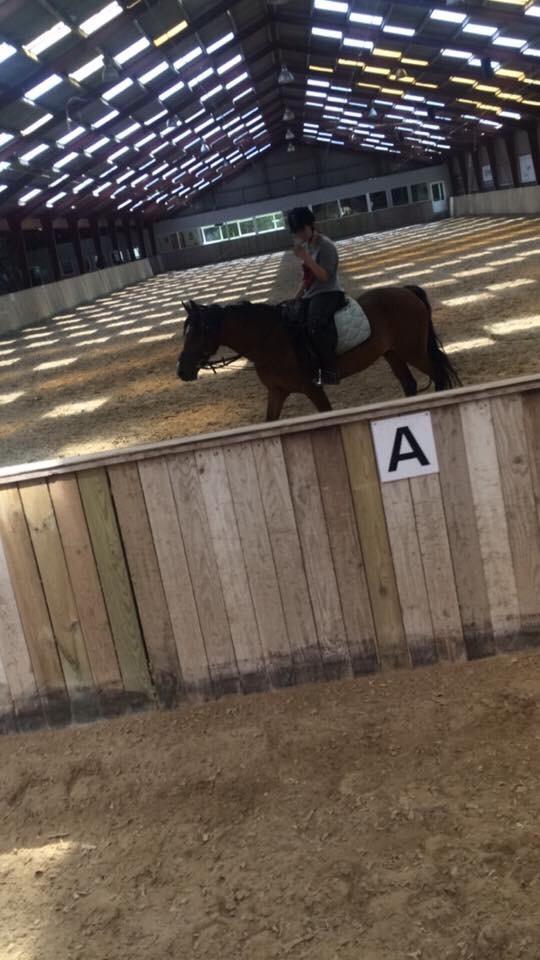 Anden særlig race Sabrina billede 3