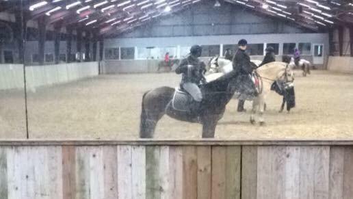 Anden særlig race Sabrina billede 4