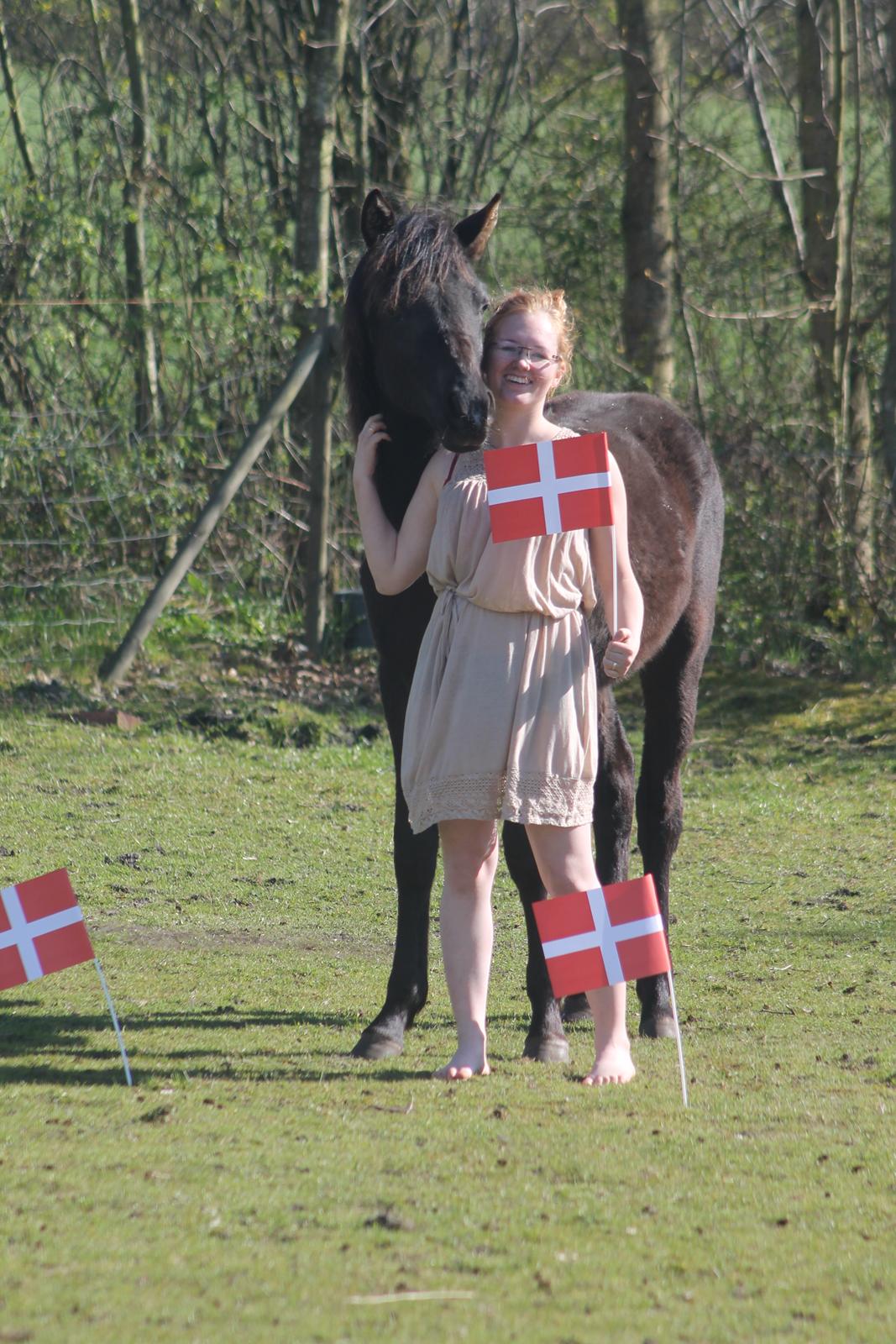 Anden særlig race DG´s Kahlúa Rush billede 12