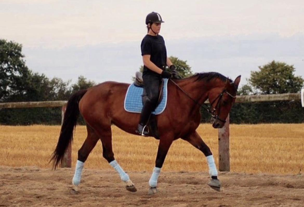 Traver Quiz billede 7