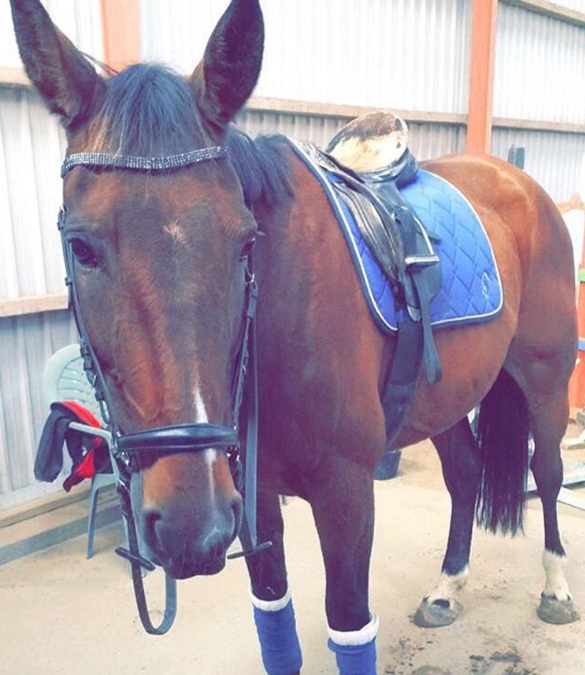 Traver Quiz billede 8