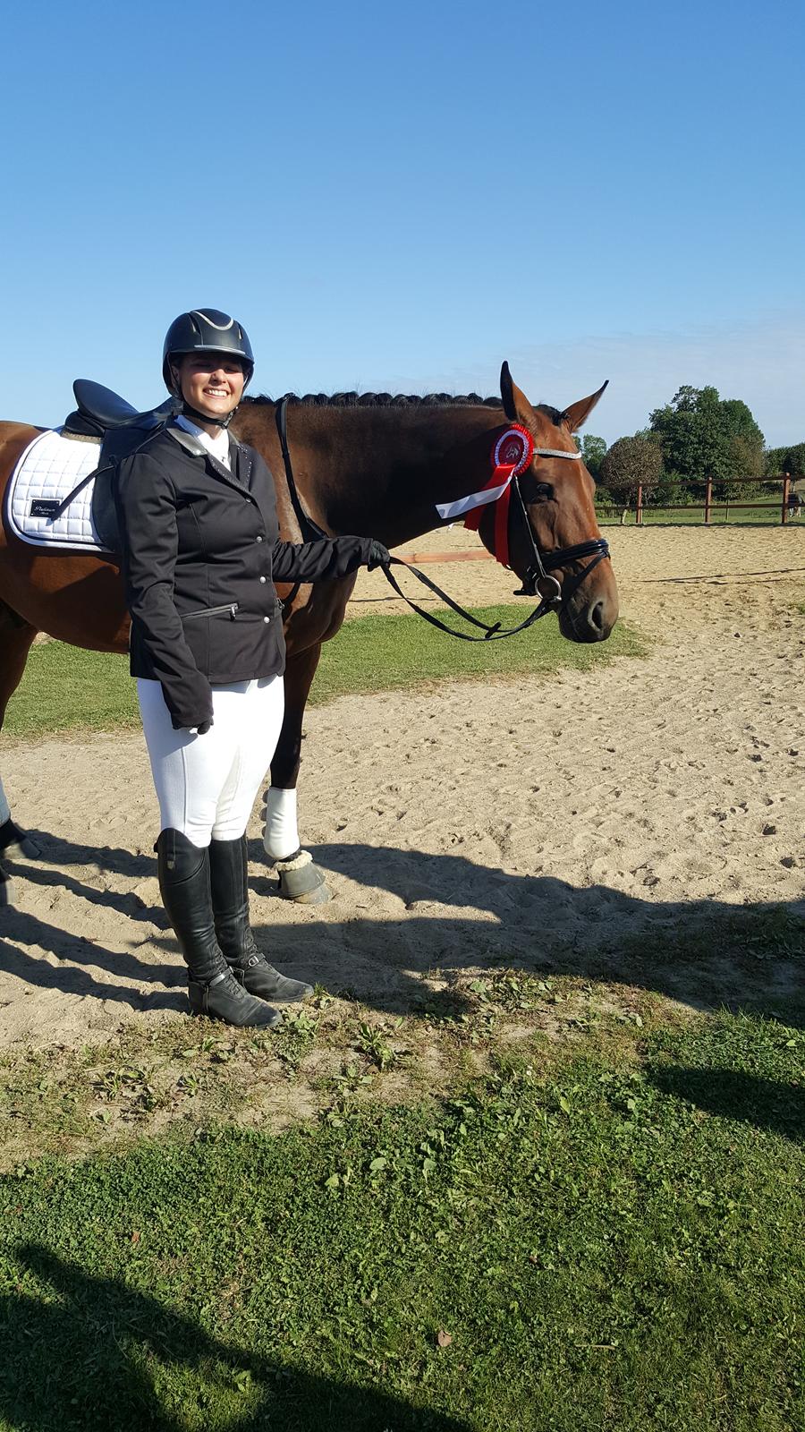 Dansk Varmblod Egelund yemen billede 16