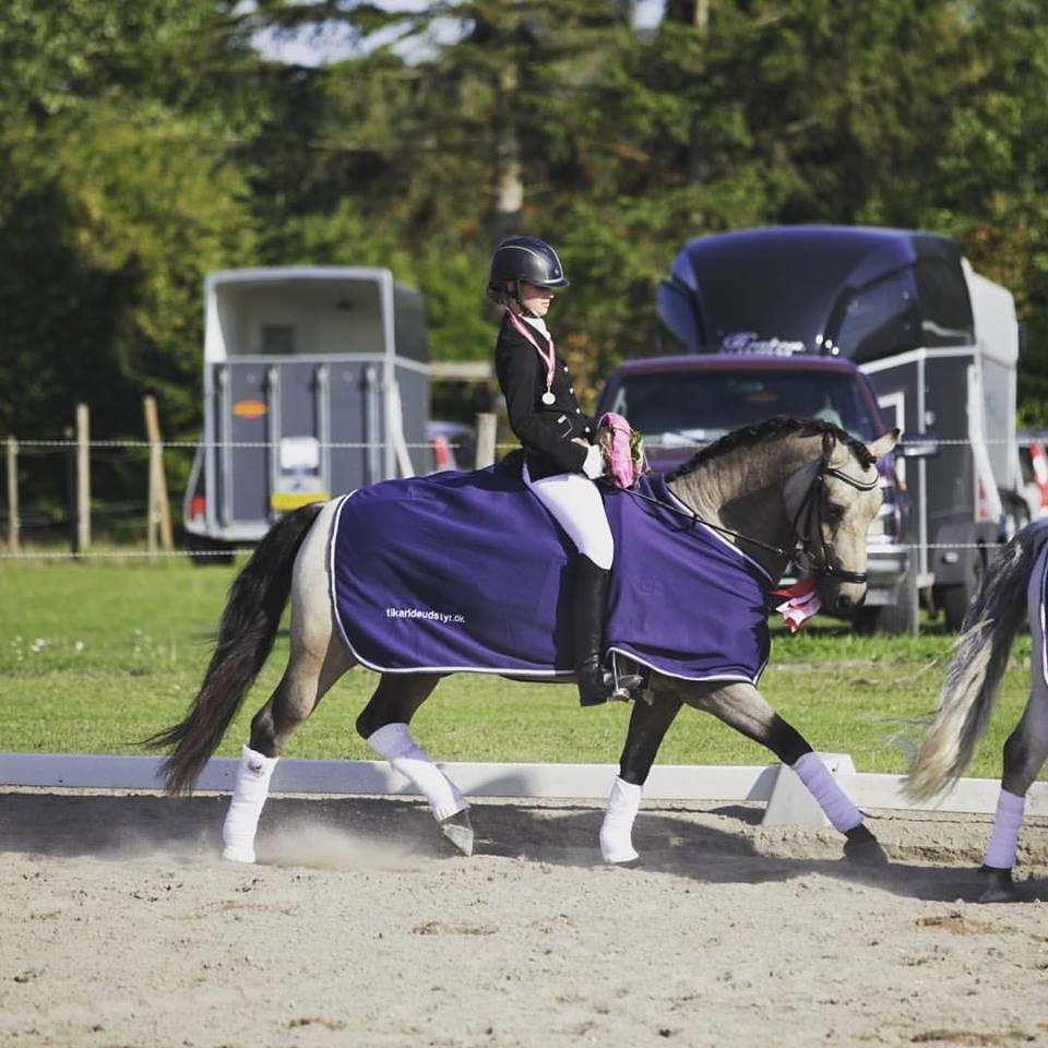 Connemara Skærgårdens Marvelous Night - Æresrunde til distriktsmesterskab :-) billede 3