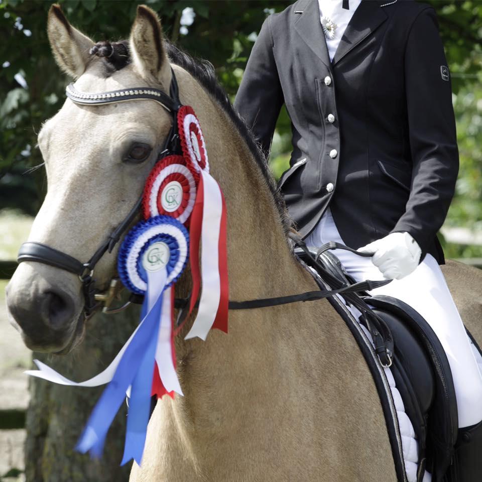 Connemara Skærgårdens Marvelous Night - Connemarastævne august 16, vinder af LB3 med 70%, vinder af LA1 med knap 68% og nr. 2 i Skatholm Cup  billede 4