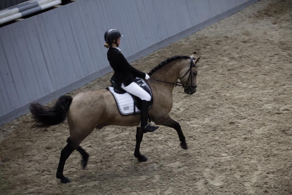 Connemara Skærgårdens Marvelous Night - Connemarastævne august 16, vinder af LB3 med 70%, vinder af LA1 med knap 68% og nr. 2 i Skatholm Cup billede 8