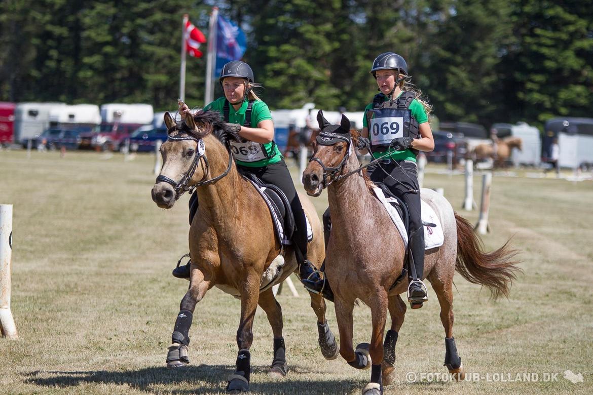 Connemara Skærgårdens Marvelous Night - Hippoaden 2016 hvor vi vandt 25 km., 1 sek. fra idealtid :-) billede 7