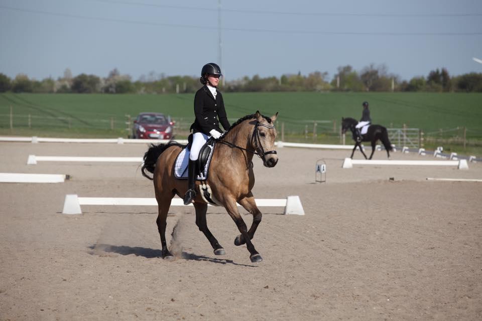 Connemara Skærgårdens Marvelous Night - Sydhavscup 16 billede 12