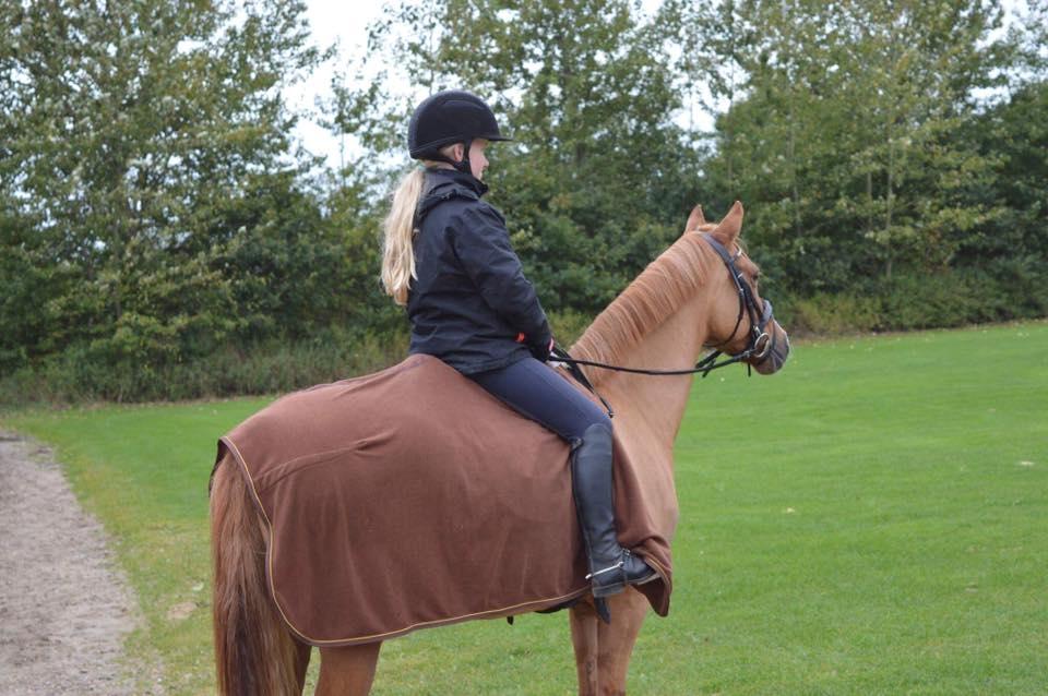 DSP Malu (solgt) - Velkommen til Loui's galleri:-) billede 1