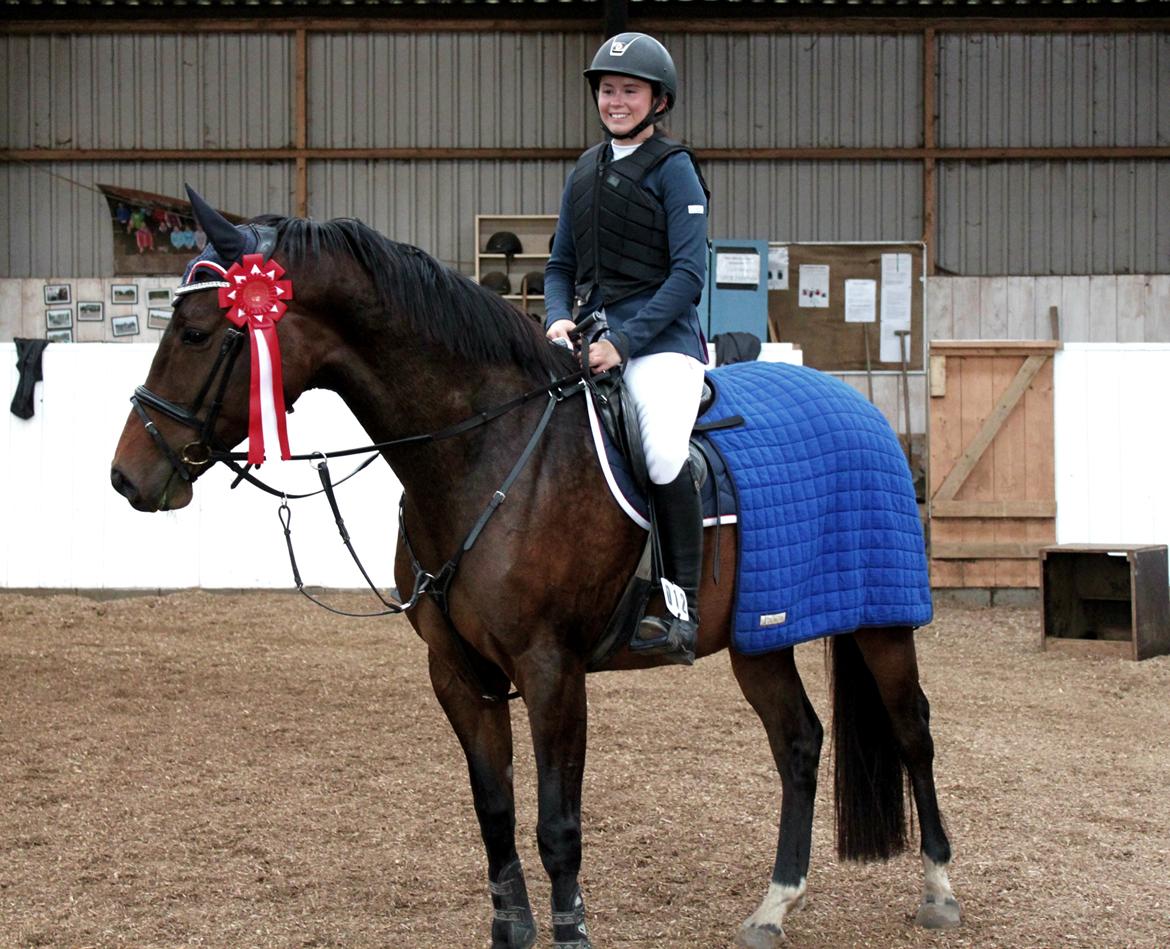 Dansk Varmblod Cille - 1. plads i LB spring d. 15. oktober 2016 billede 2