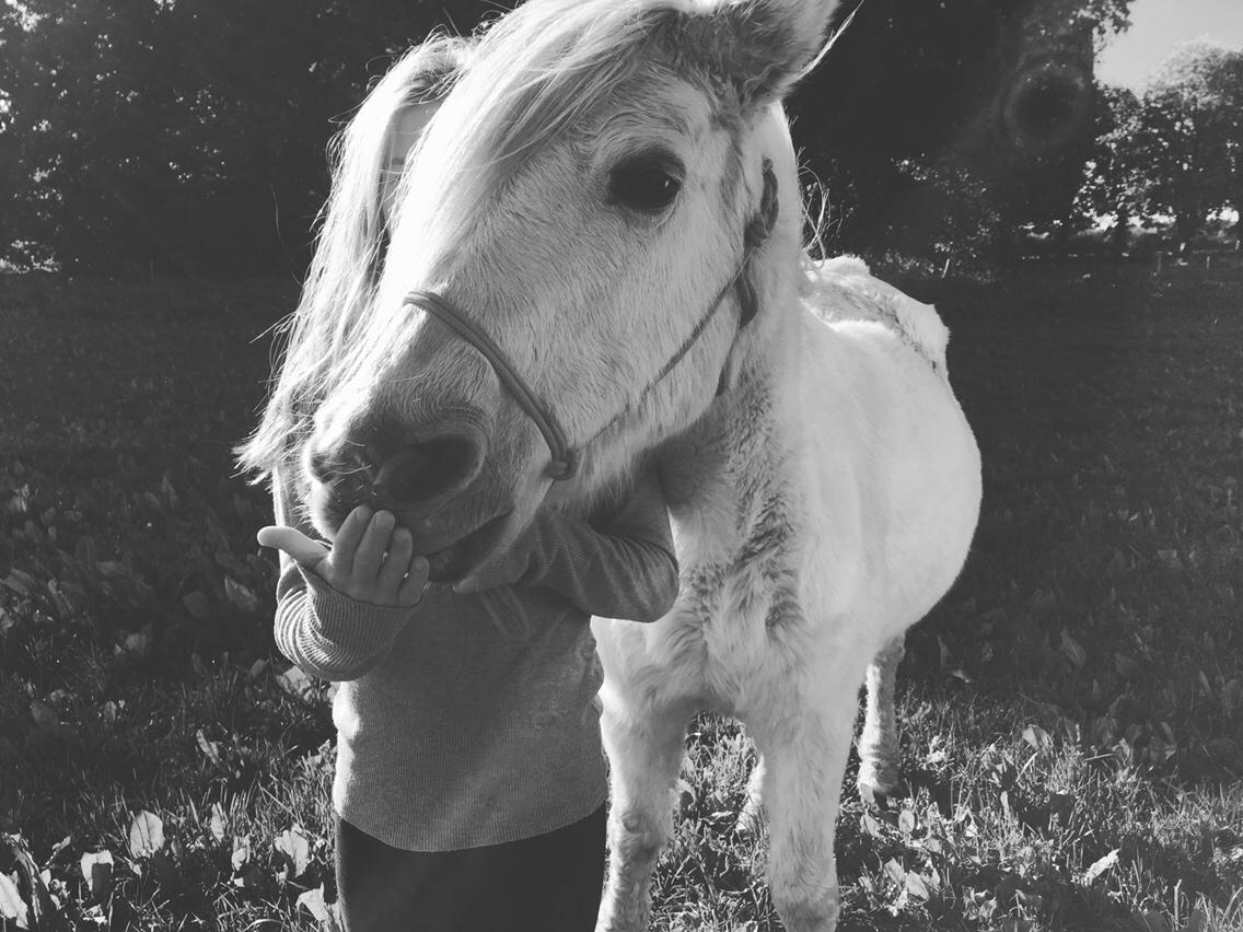 Anden særlig race Maggie R.I.P* billede 2