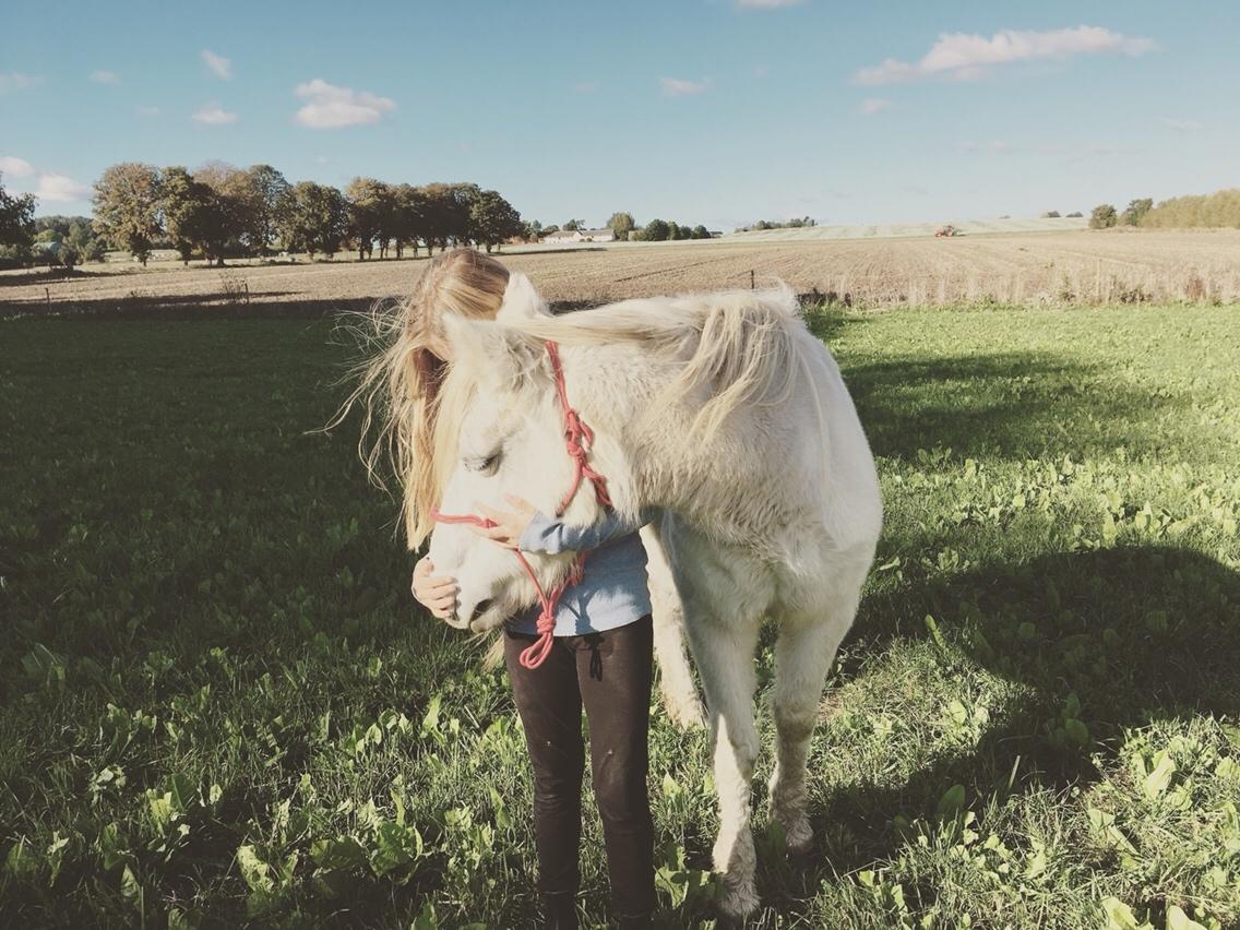 Anden særlig race Maggie R.I.P* billede 3