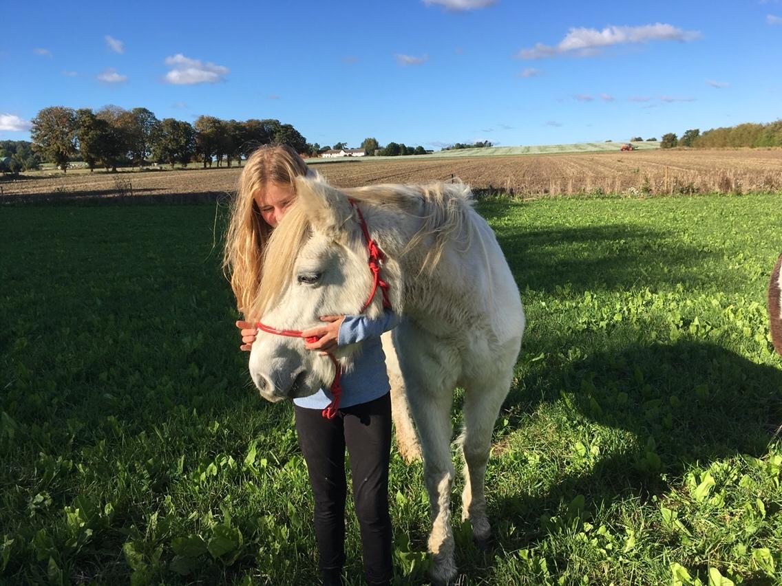 Anden særlig race Maggie R.I.P* billede 5