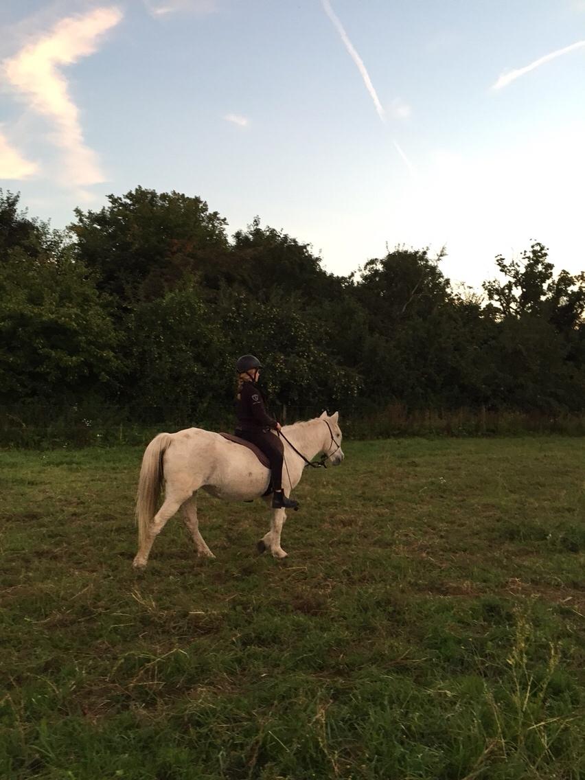 Anden særlig race Maggie R.I.P* billede 15