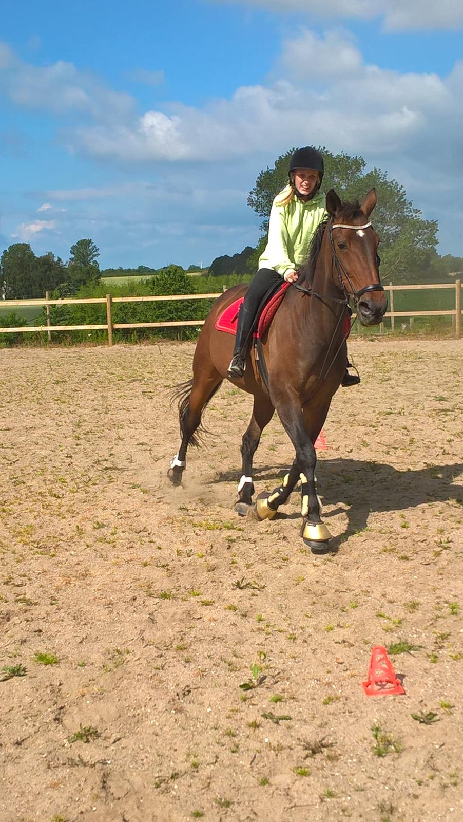 Traver Faraway billede 4