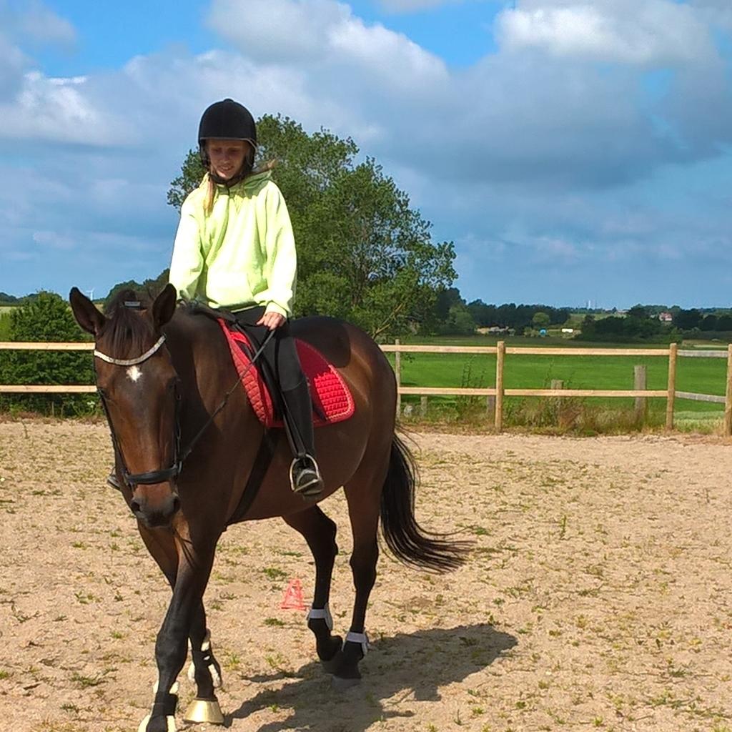 Traver Faraway billede 7