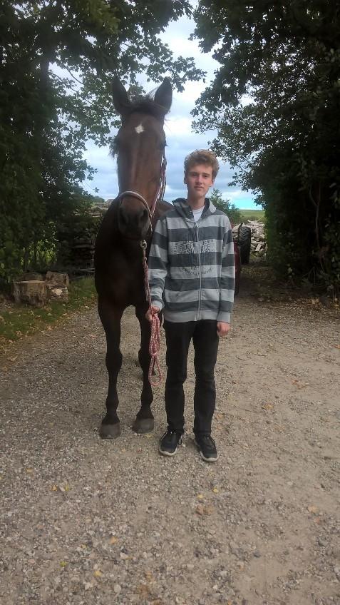 Traver Faraway billede 16