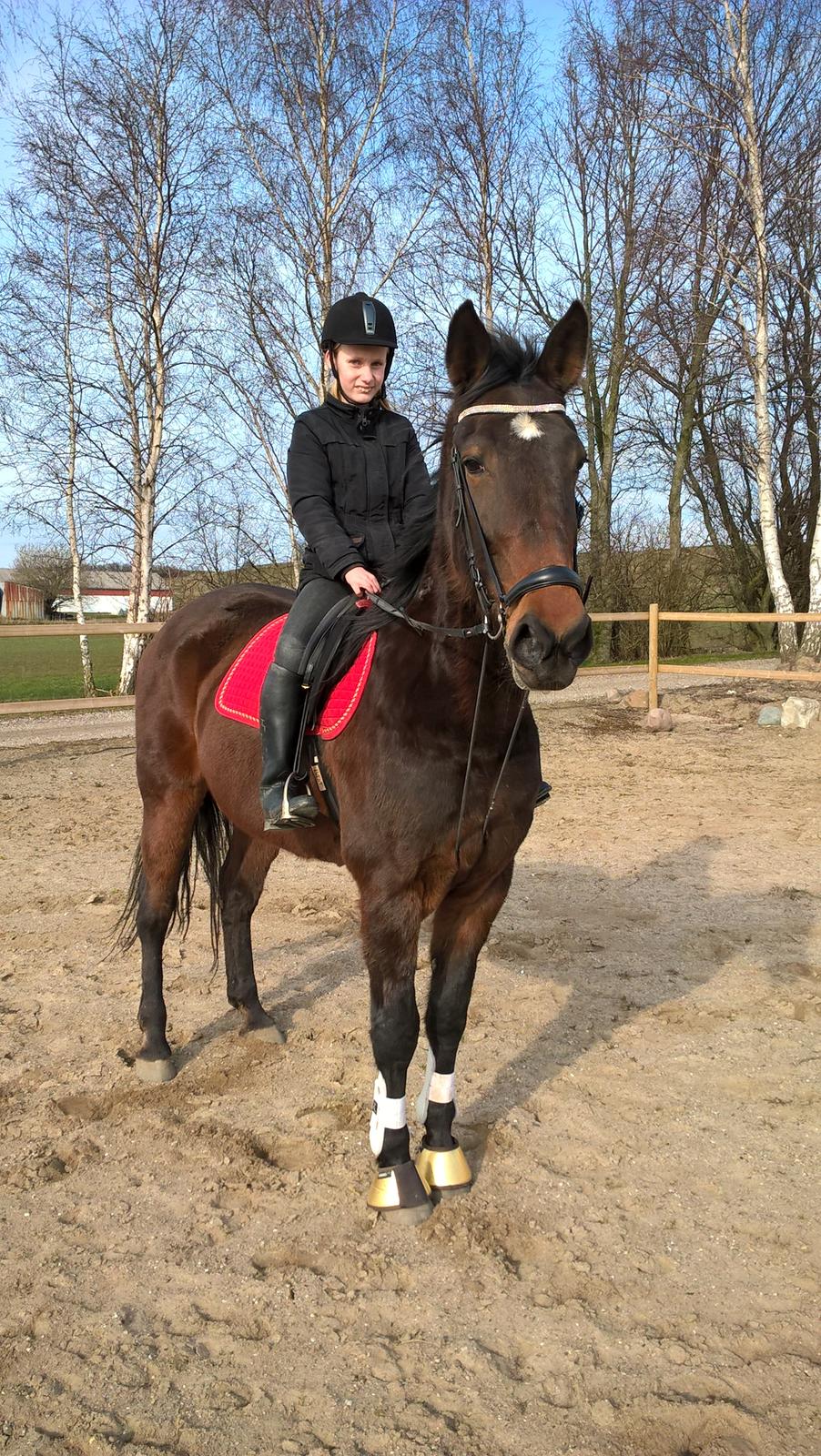 Traver Faraway billede 2