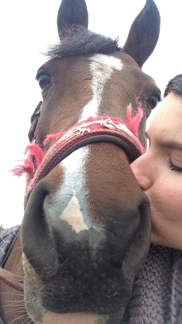 Anden særlig race Sabrina billede 9