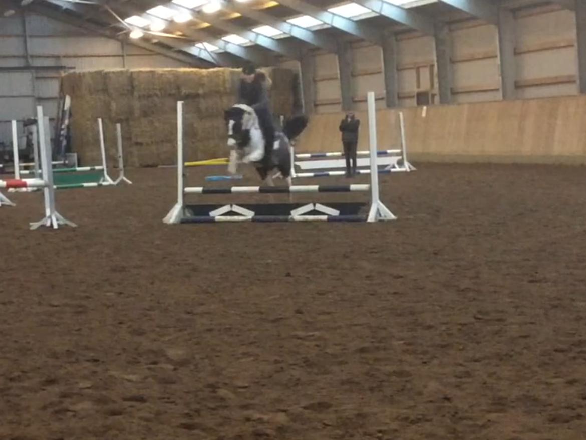 Hollandsk Sportspony Samber (lillesøsters pony) - Samber og jeg til spring undervisning ved Svend for første gang billede 17