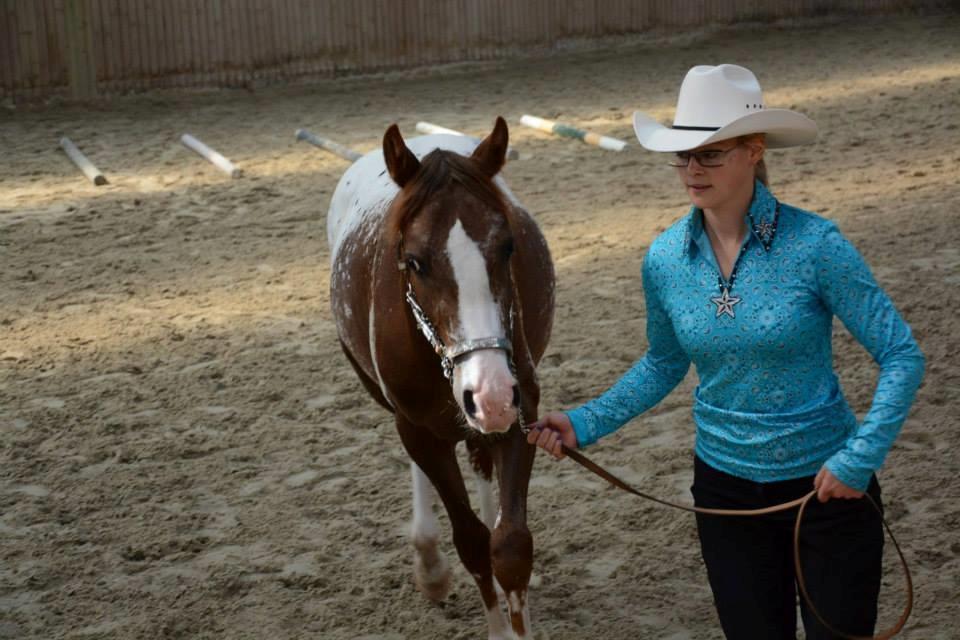 Appaloosa DIego billede 1