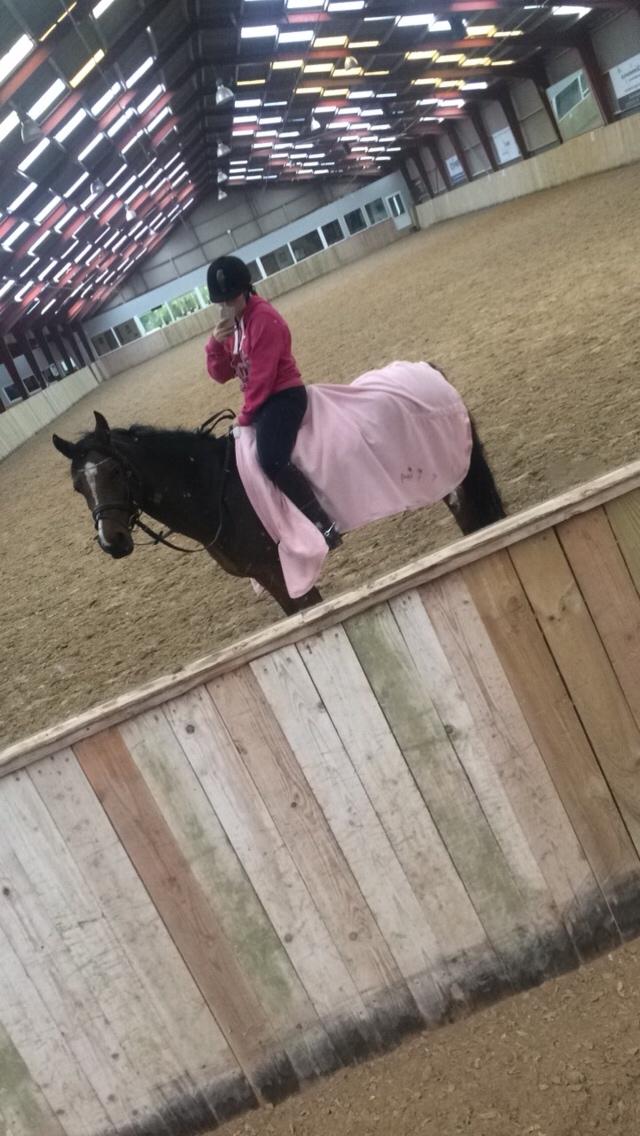 Anden særlig race Sabrina billede 12