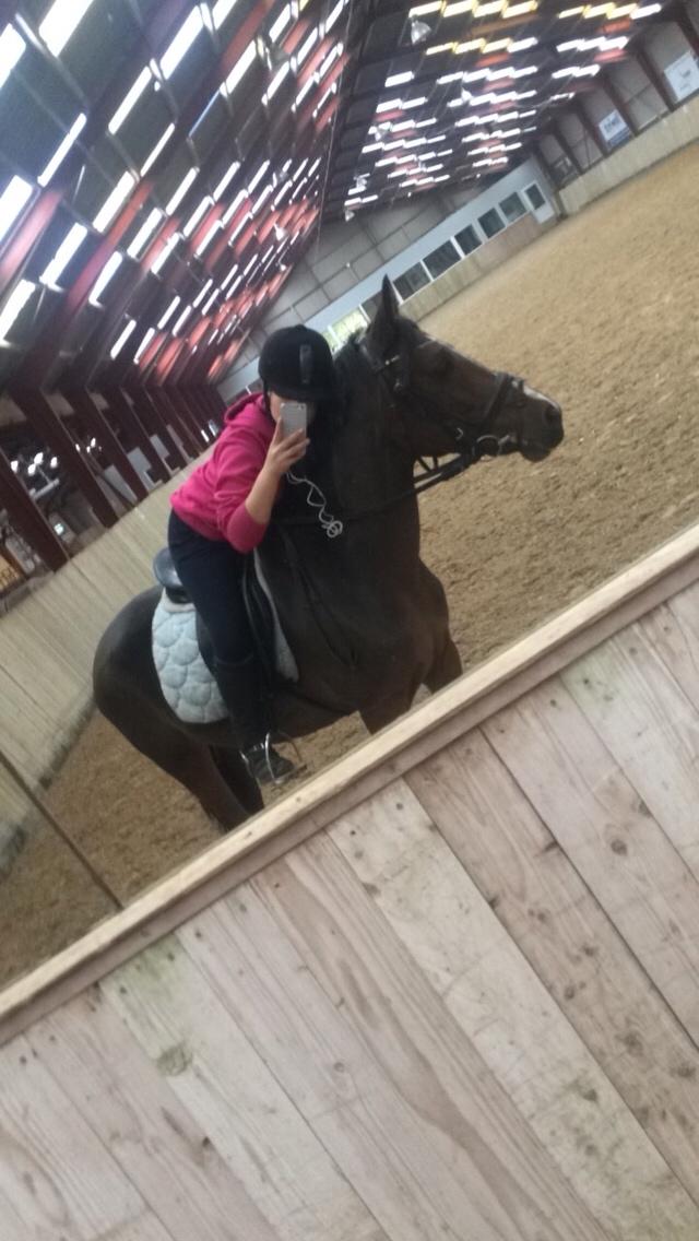 Anden særlig race Sabrina billede 13