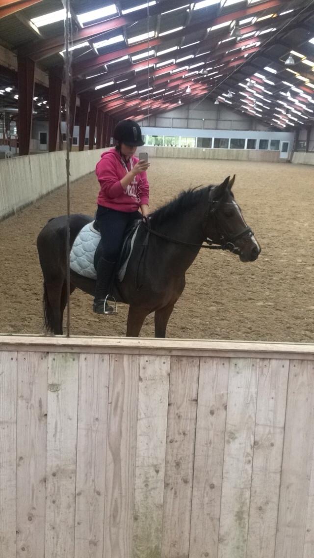 Anden særlig race Sabrina billede 14