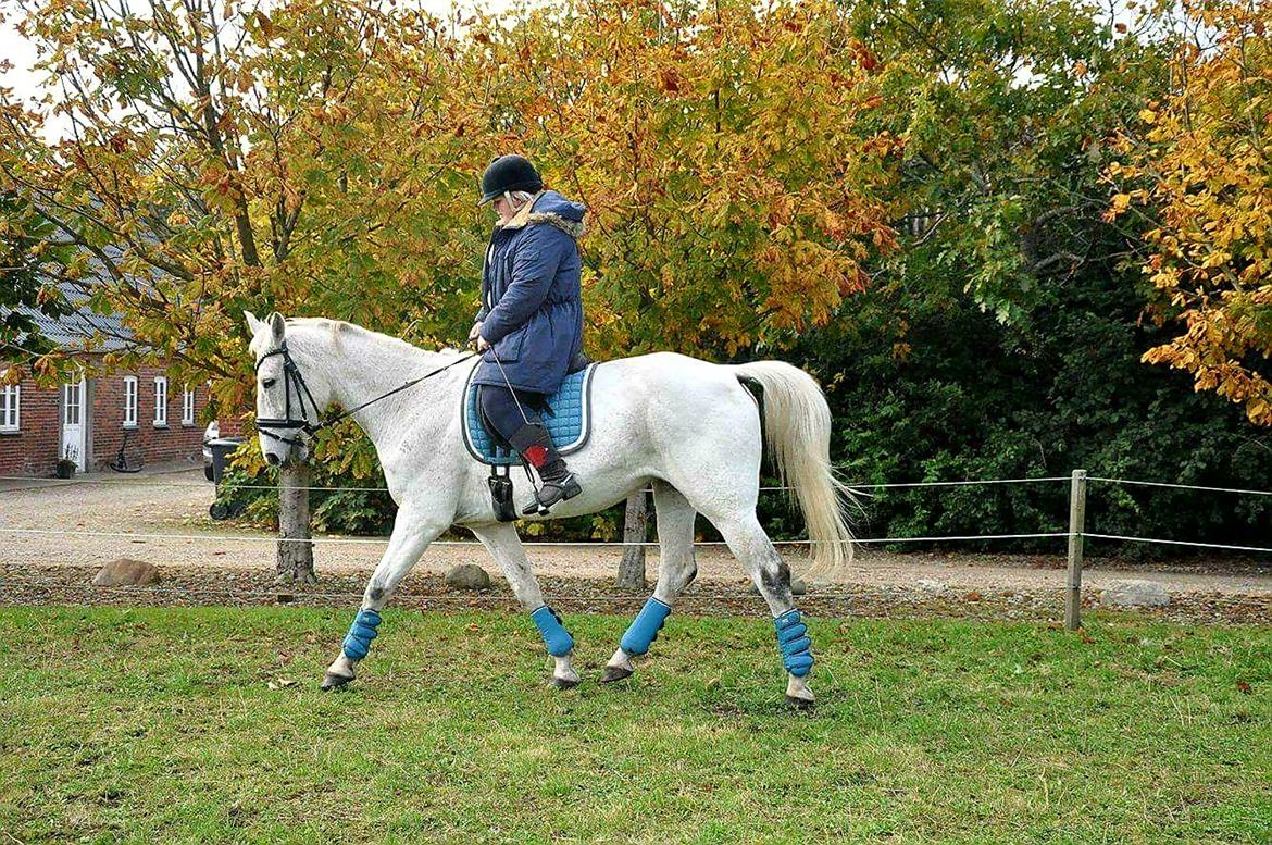 Anden særlig race Clinton billede 1