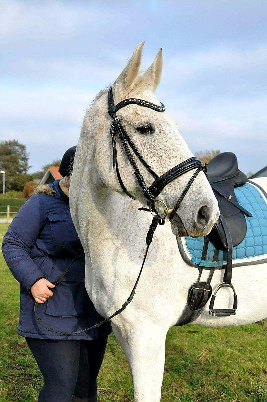 Anden særlig race Clinton billede 4