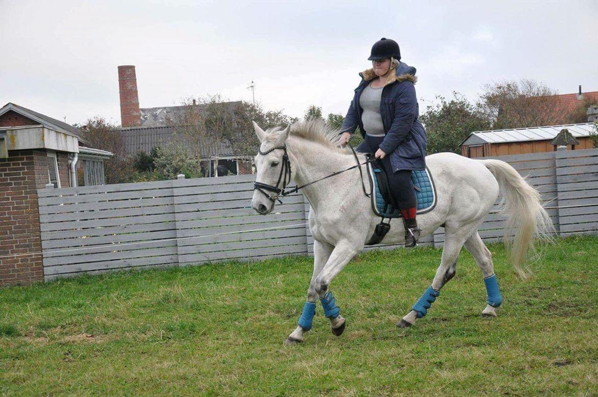 Anden særlig race Clinton billede 5