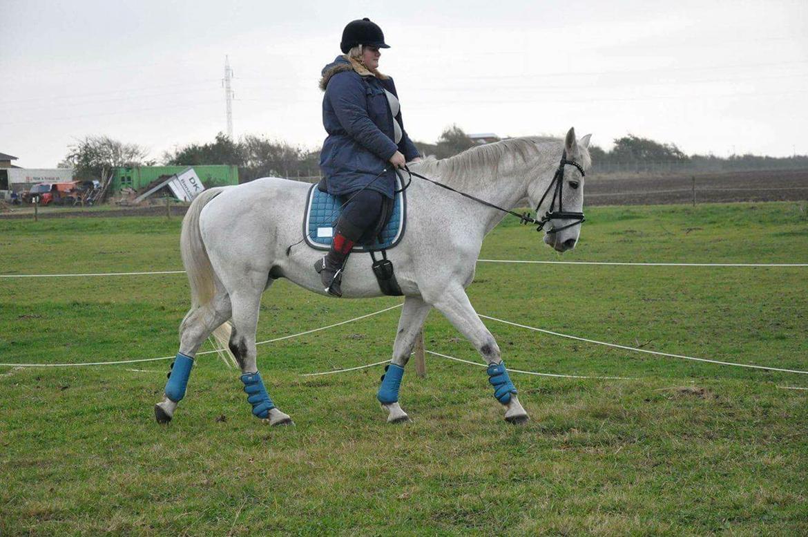 Anden særlig race Clinton billede 6