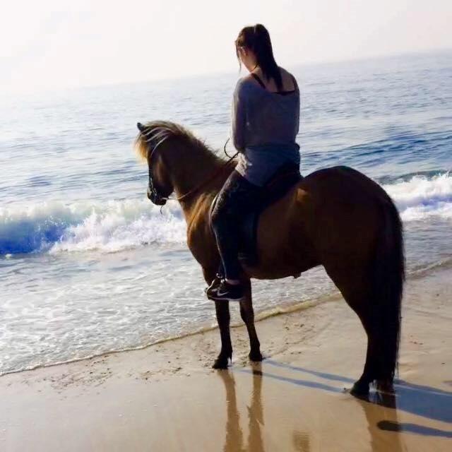 Islænder Magnus billede 1