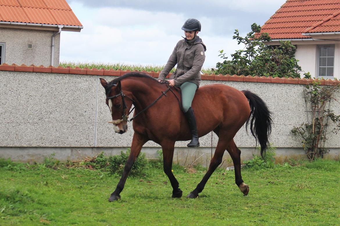 DSP Ronja  - Septemer 2016 billede 6