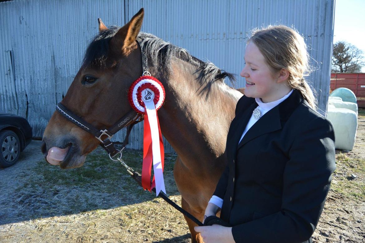 New Forest Marrondales Lovejoy billede 4