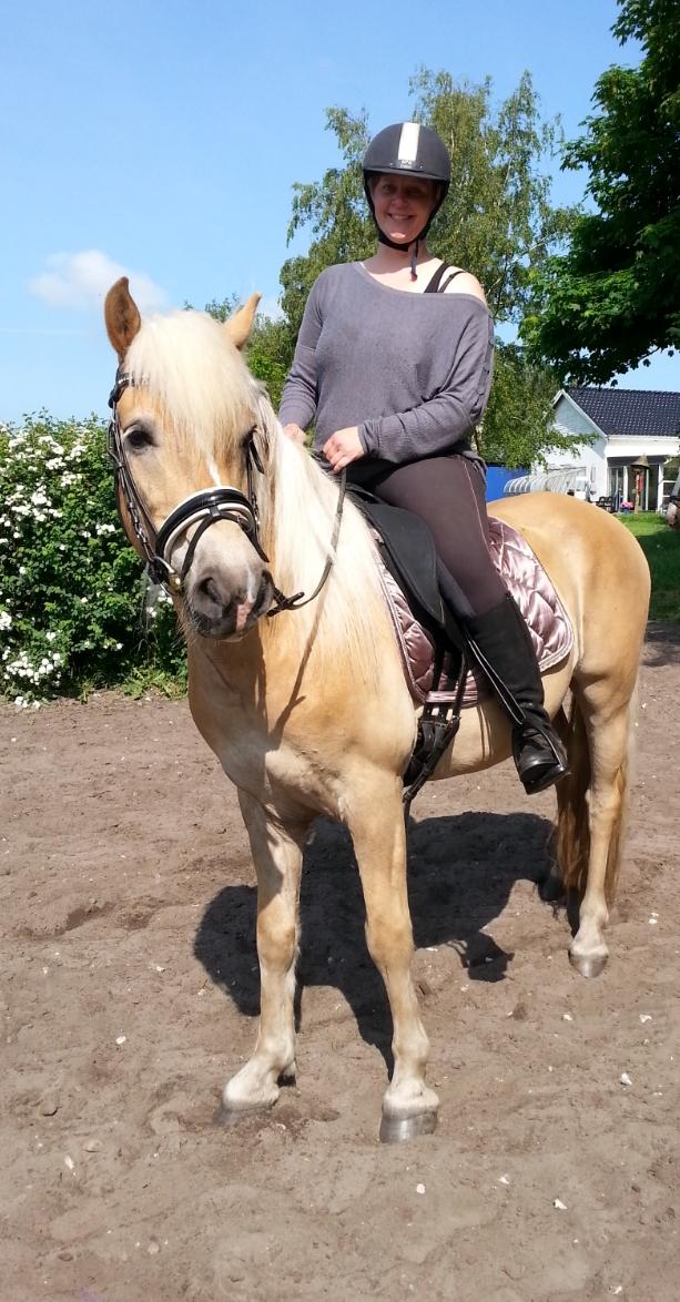 Tyroler Haflinger Walando  billede 34