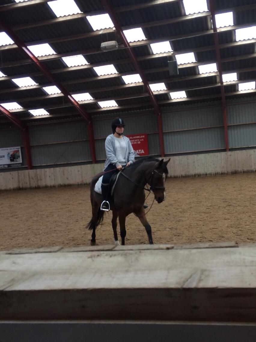 Anden særlig race Sabrina billede 18