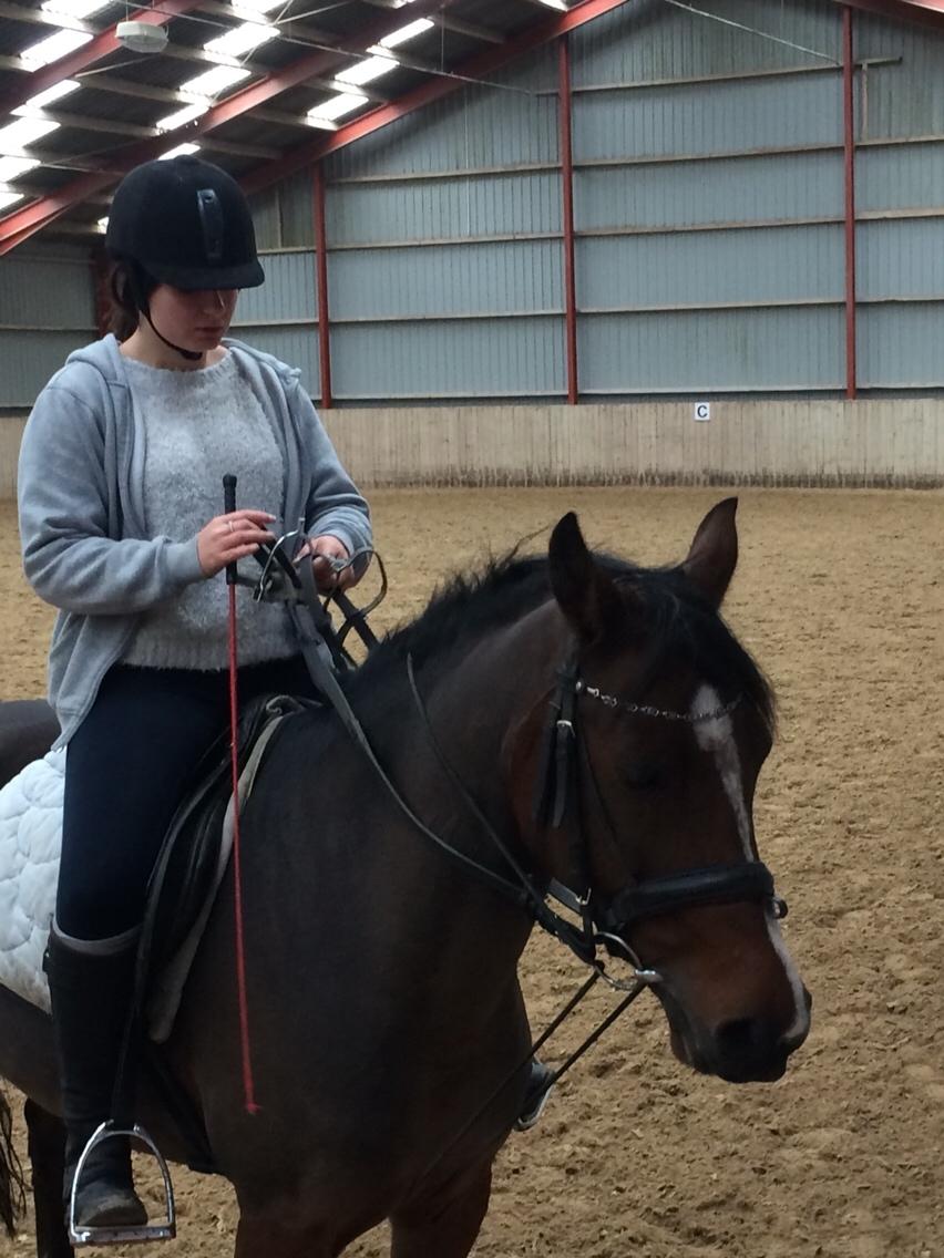 Anden særlig race Sabrina billede 20