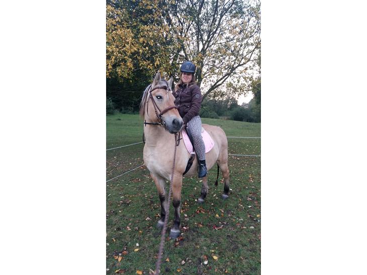 {{currentPhoto.altText}} billede {{currentPhoto.number}}