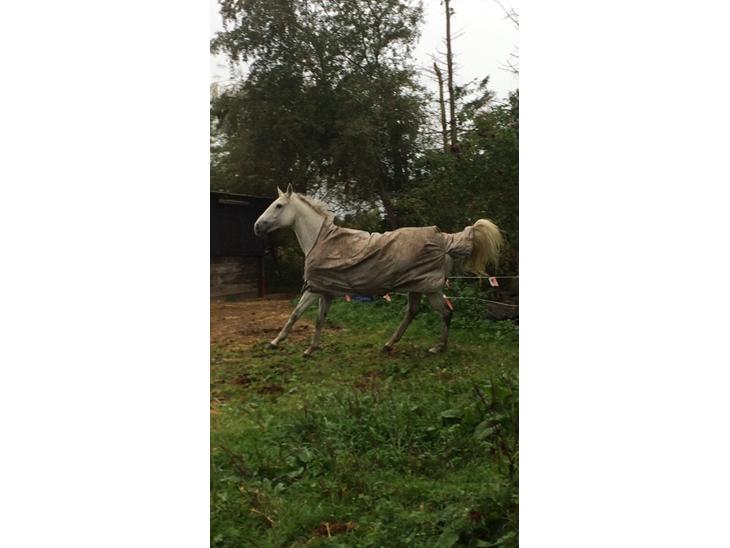 {{currentPhoto.altText}} billede {{currentPhoto.number}}