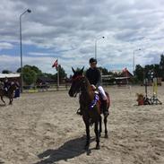 Anden særlig race Kamira