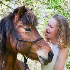 Islænder Gunndís frá Syðra- Skörðugili