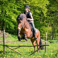 Islænder Gunndís frá Syðra- Skörðugili