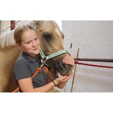 Tysk Sportspony Remember The Time S