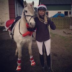 Anden særlig race Kikko