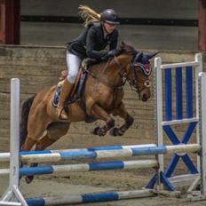 Anden særlig race Nørremarks Dunja