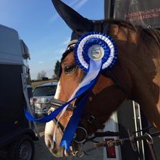 DSP Hedemand's kiare